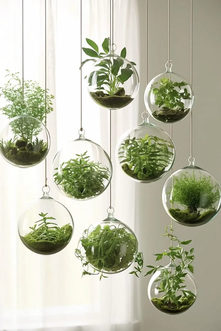 Indoor Terrarium