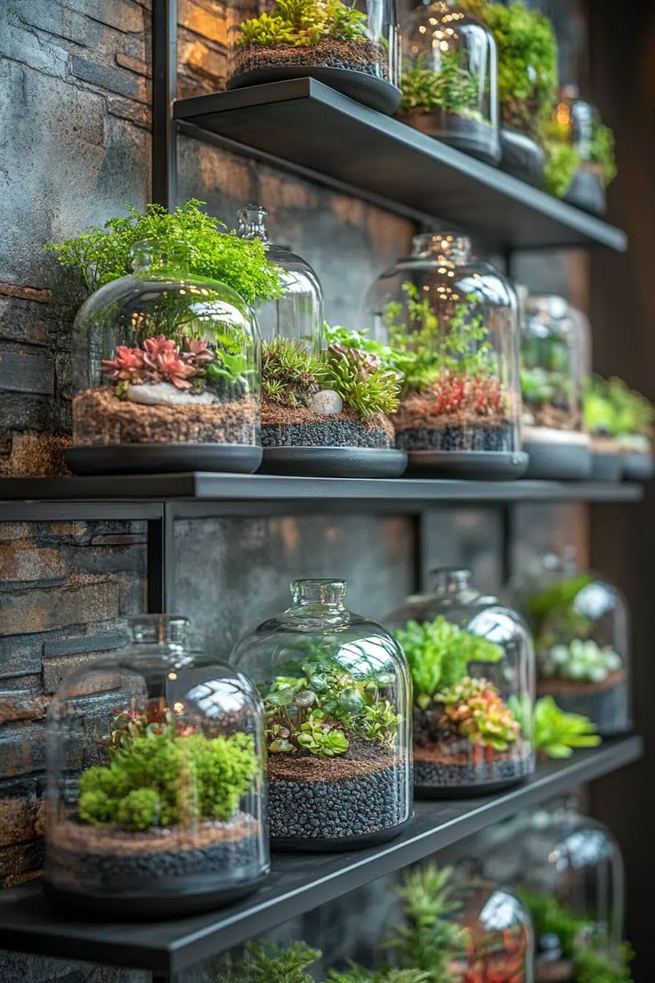 Terrarium for indoor home Decor